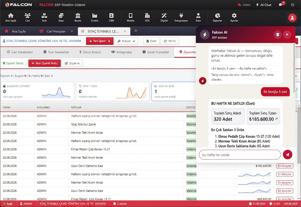 Falcon Cloud ERP — Falcon AI